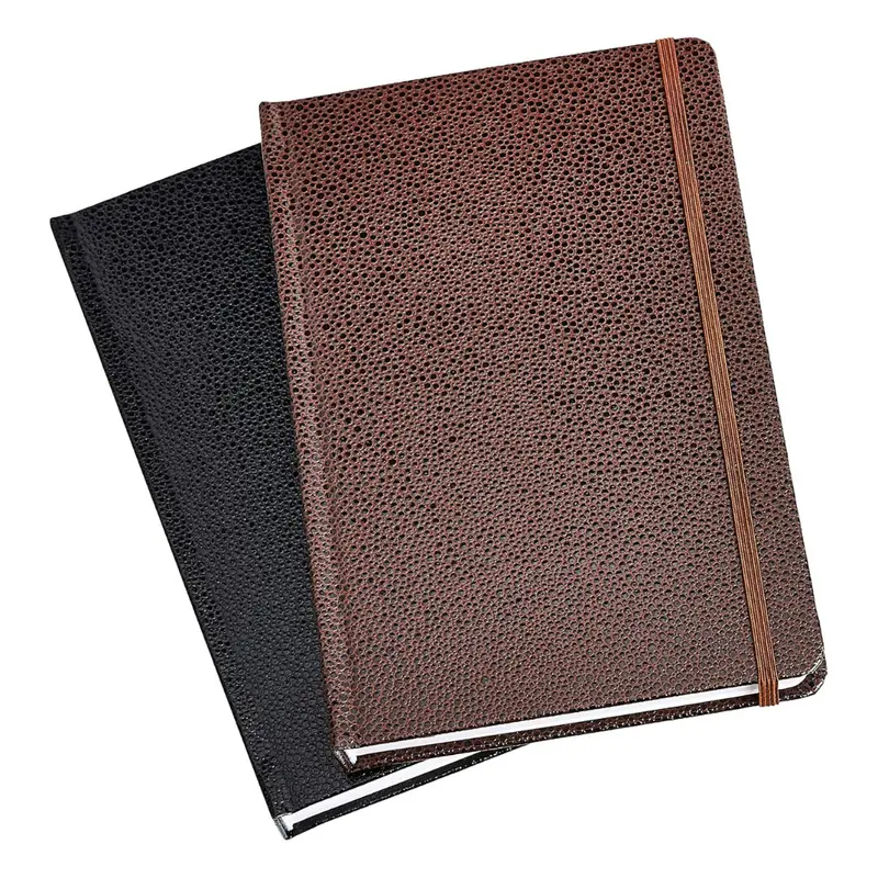 2-Count Amazon Basics 10'' Shagreen Hardcover Journal With Elastic Band 1