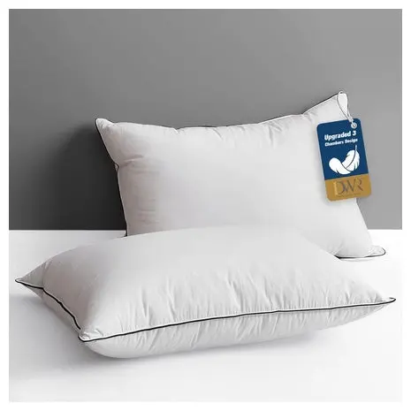 2-Pack Goose Feather & Down Pillows 1