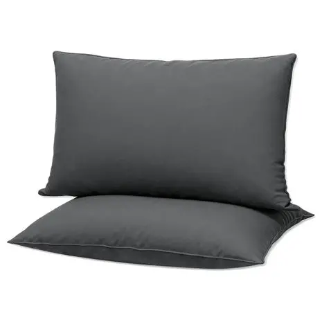 2 Ultra-Thin Down Alternative Bed Pillows 1