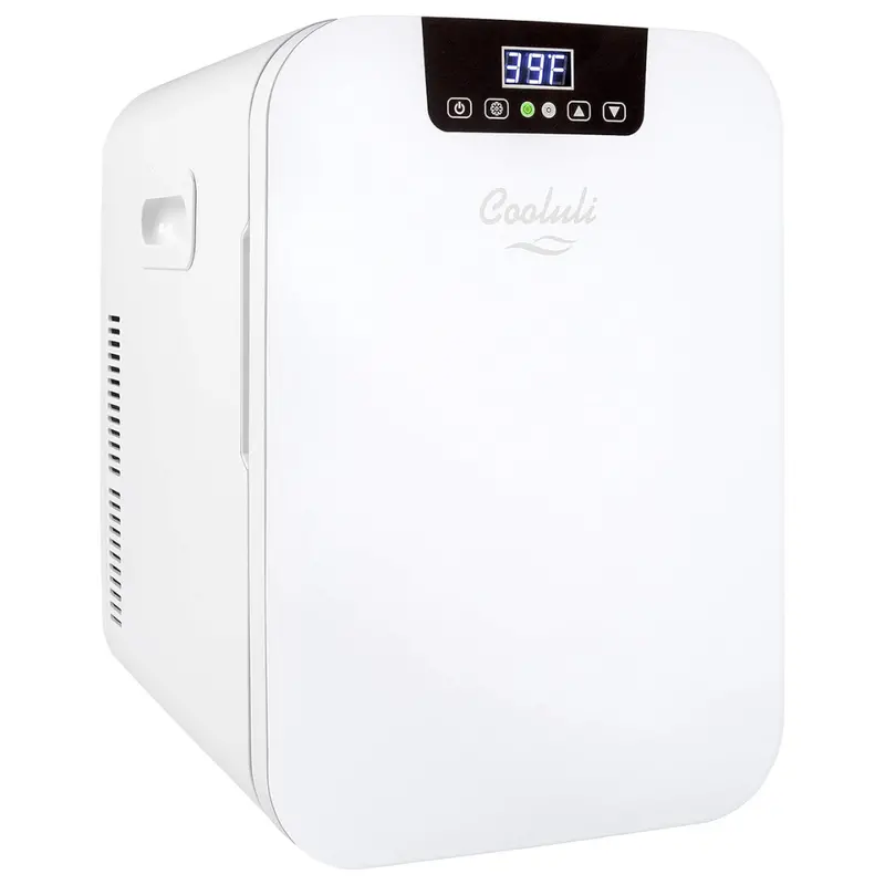 20 Liter Mini Fridge With Temperature Control 1