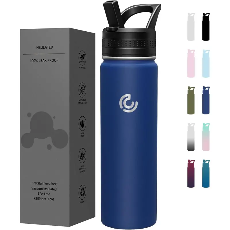 22Oz Insulated Stainless Steel Water Bottle (Various) 1