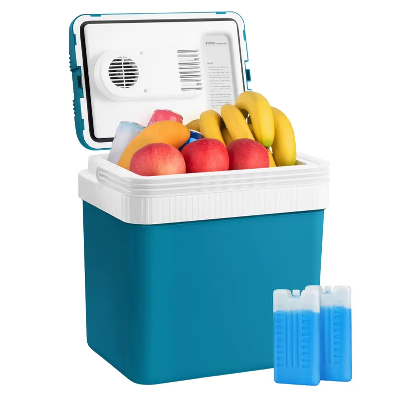 24L Electric Cooler Thermoelectric Portable Car Fridge 1