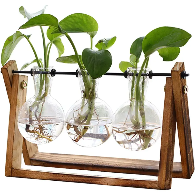 3-Bulb Glass Plant Terrarium With Wooden Stand 1