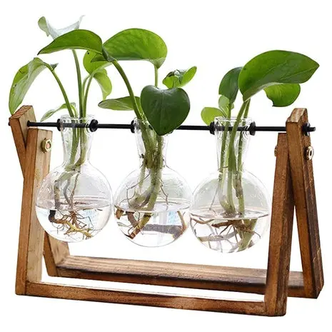 3-Bulb Plant Terrarium With Wooden Stand 1