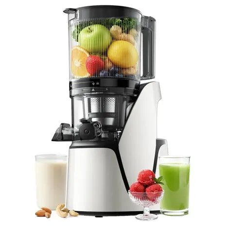 3-In-1 Slow Masticating Juicer 1