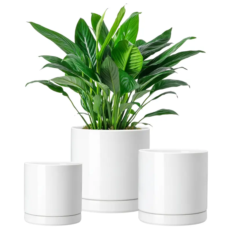 3-Piece Vancasso Ceramic Indoor Plant Pots 1