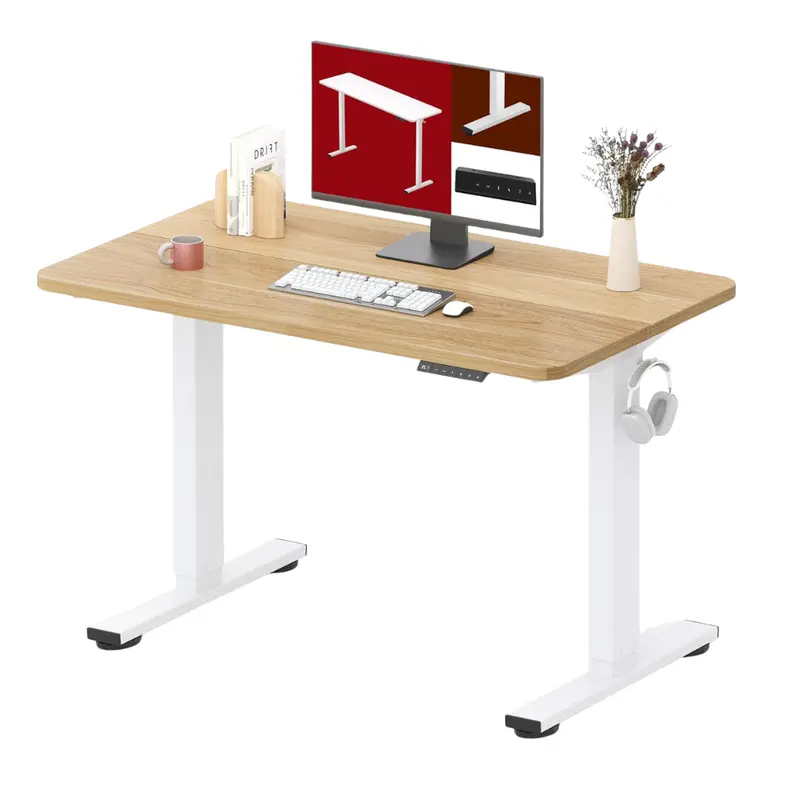 40'' X 24" Height Adjustable Electric Standing Desk 1