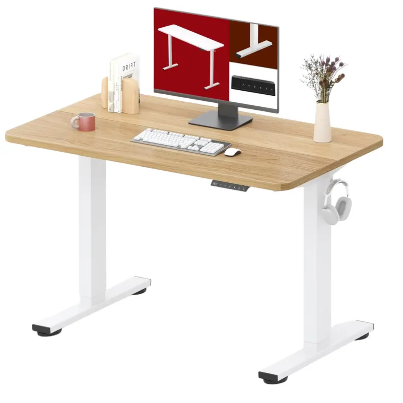 40'' X 24" Height Adjustable Electric Standing Desk 1