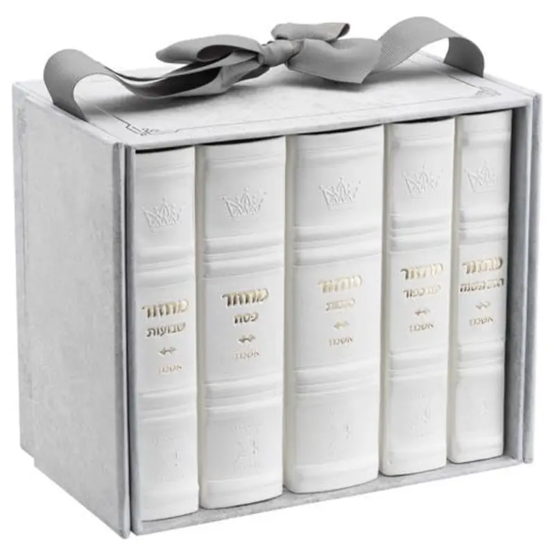 5 Volume Artscroll Hebrew English Mid Size Ashkenaz Faux Leather Machzor Set 1