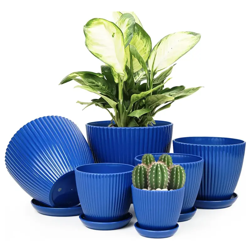 6-Pack Indoor Flower Plant Pots With Saucers & Drainage 1