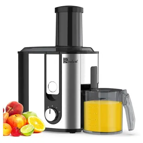 800W Juicer Machine 1