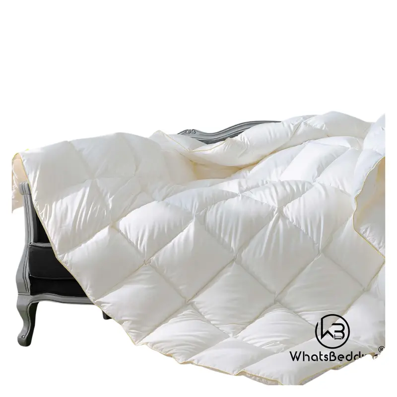 All Season Feather Queen Comforter 1