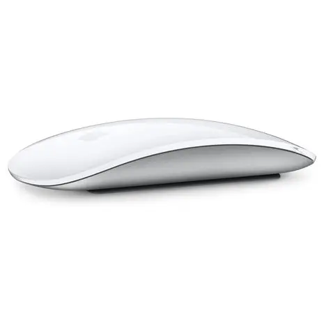 Apple Magic Mouse 1