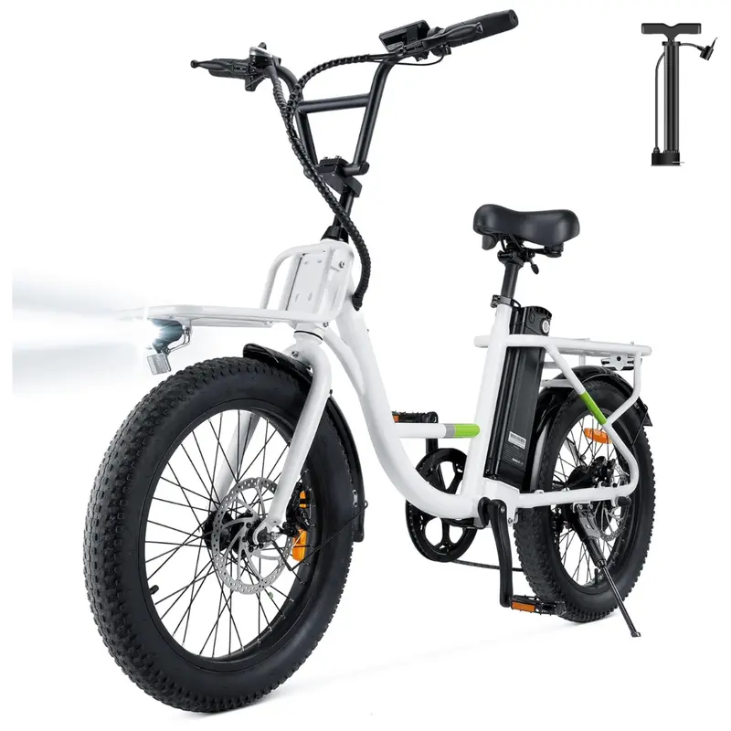 Ayolny 500W 7 Speed Cargo Electric Bike, 55 Miles 1