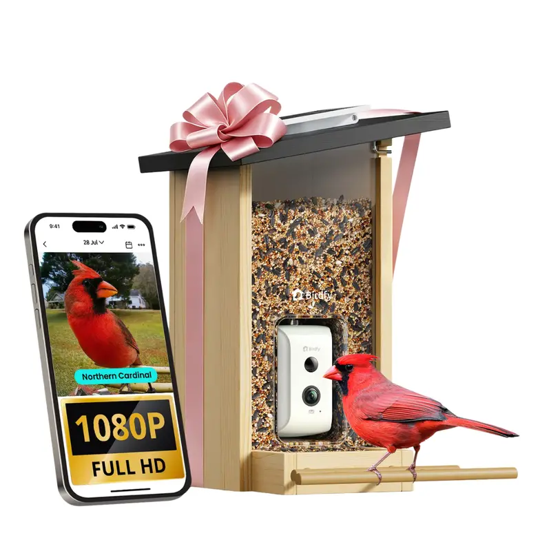 Birdfy Ai-Enabled Smart Bird Feeder W/ Camera & Solar Panel 1