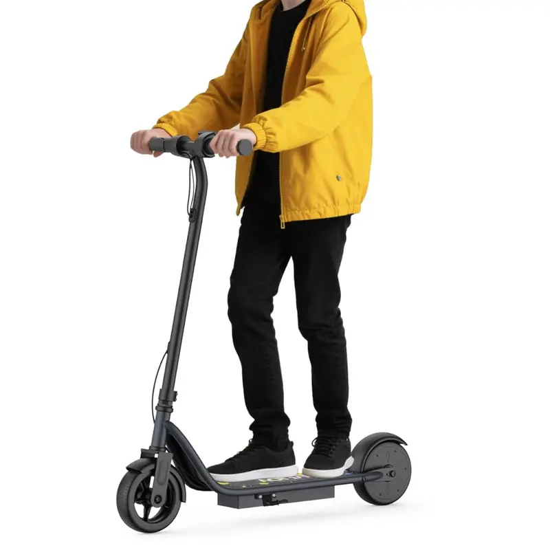 C003 Led Display 3 Speeds 250Wmotor Electric Scooter 1