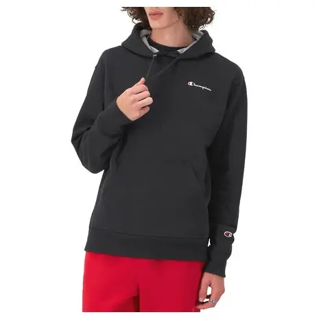 Champion Men's Small Script Logo Hoodie 1