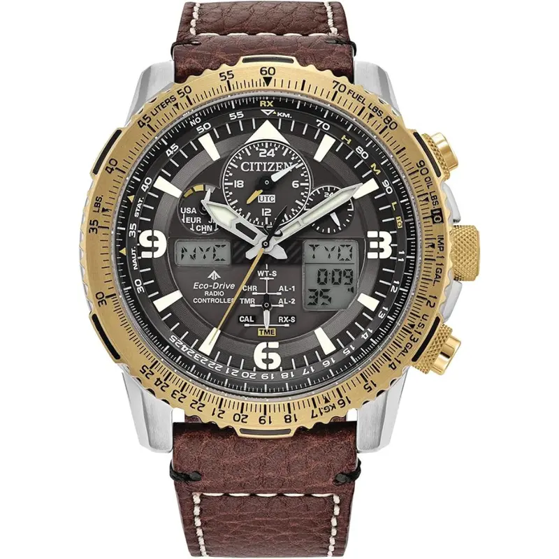 Citizen Men's Promaster Air Skyhawk Eco-Drive Pilot Watch (Jy8084-09H) 1