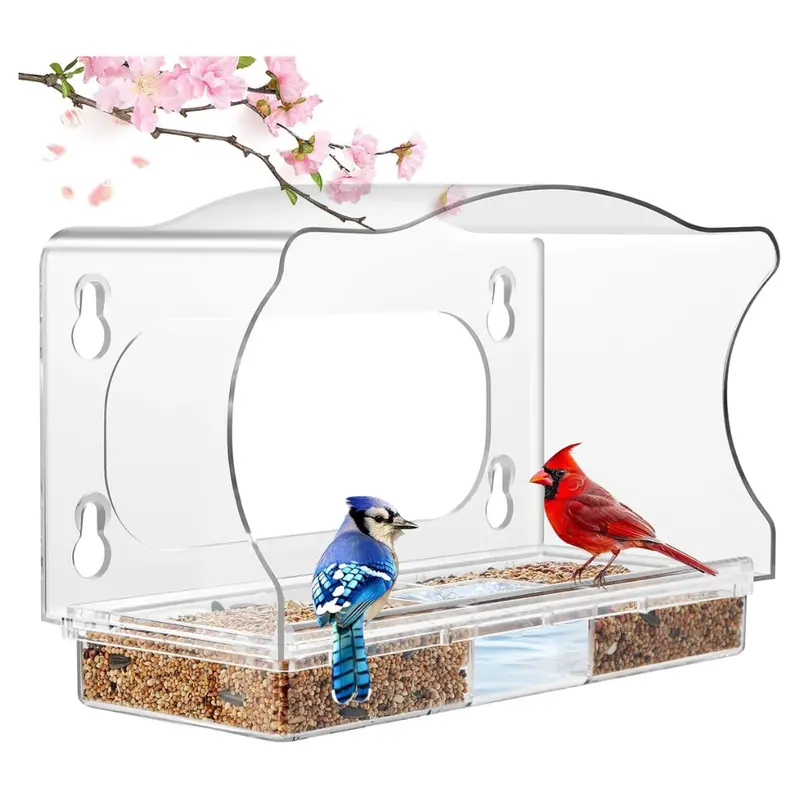 Clear Window Bird Feeder With 4 Strong Suction Cups 1