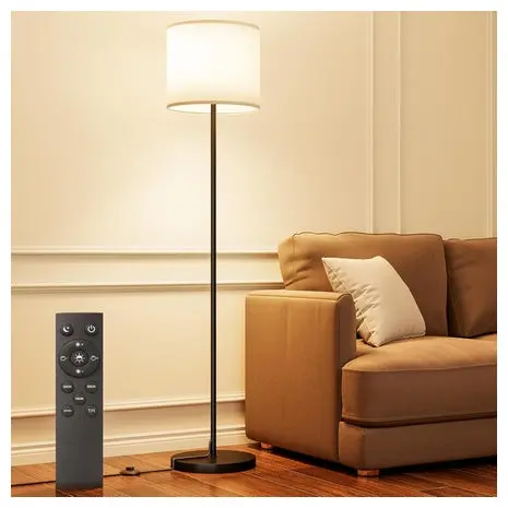 Dimmable Floor Lamp With Remote 1