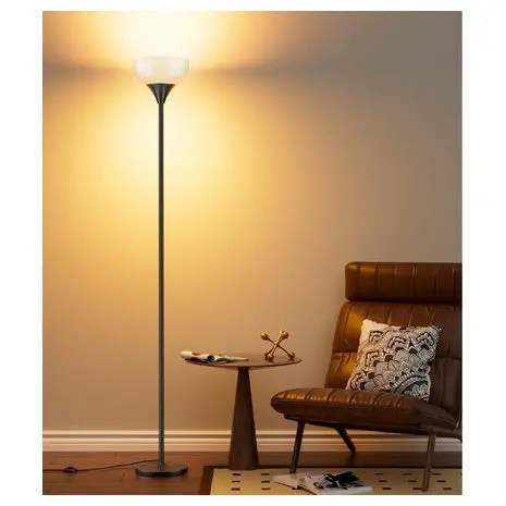 Dimmable Floor Lamp With Remote 1