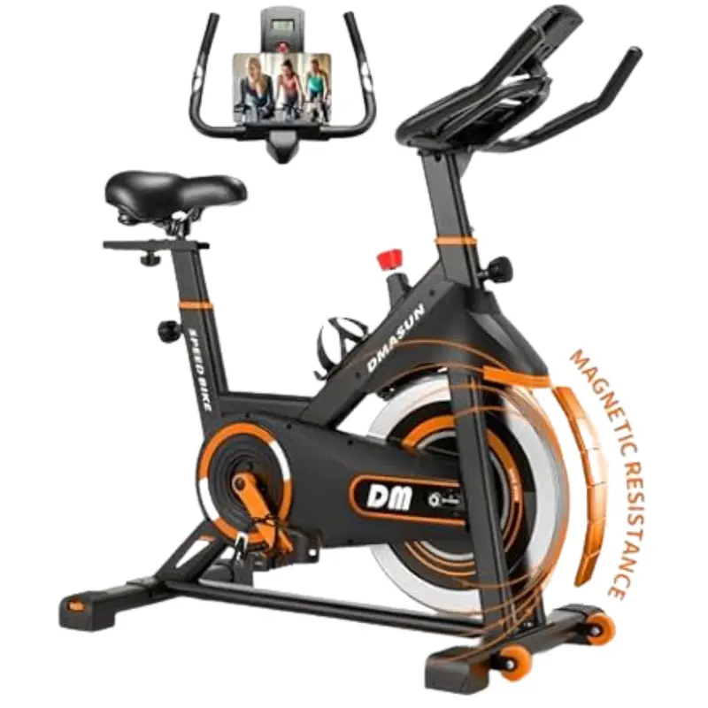 Dmasun 330 Lbs Capacity Exercise Bike 1