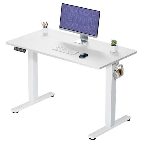 Electric Standing Desk 1