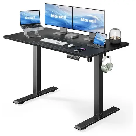 Electric Standing Desk 1