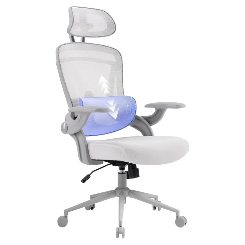 Ergofit Ergonomic High Back Mesh Office Chair 1