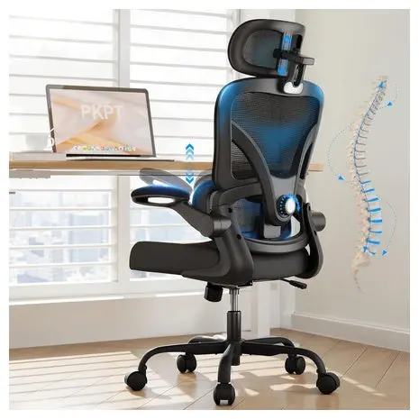 Ergonomic Mesh Office Chair 1