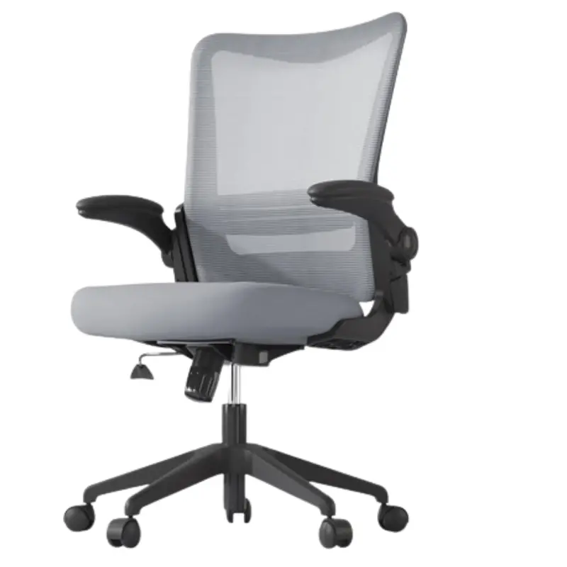 Ergonomic Mesh Office Chair 1