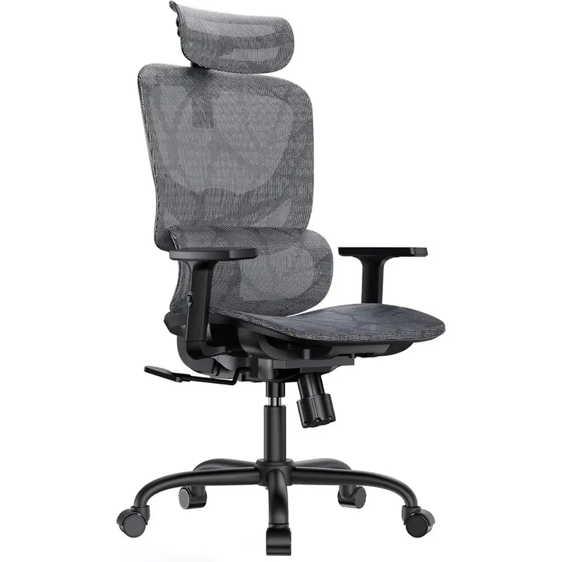 Ergonomic Mesh Office Chair With 5-Level Lumbar Support 1