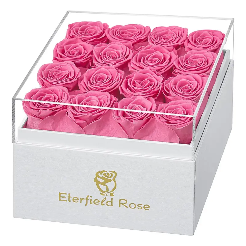 Eterfield Forever Flowers Preserved Roses With 16 Pink Roses 1