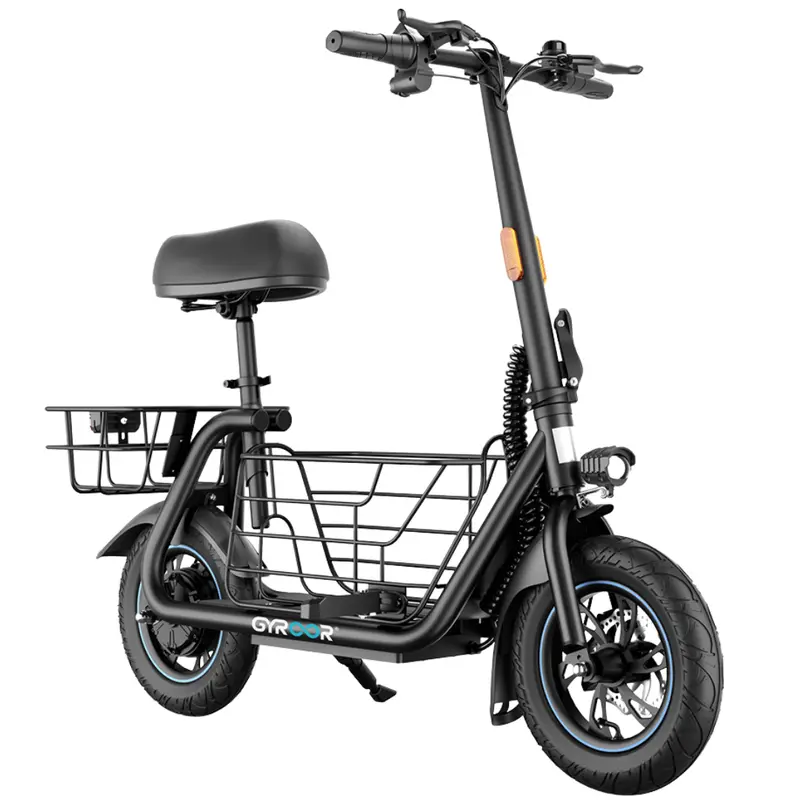 Gyroshoes C1s 550W Electric Scooter 1
