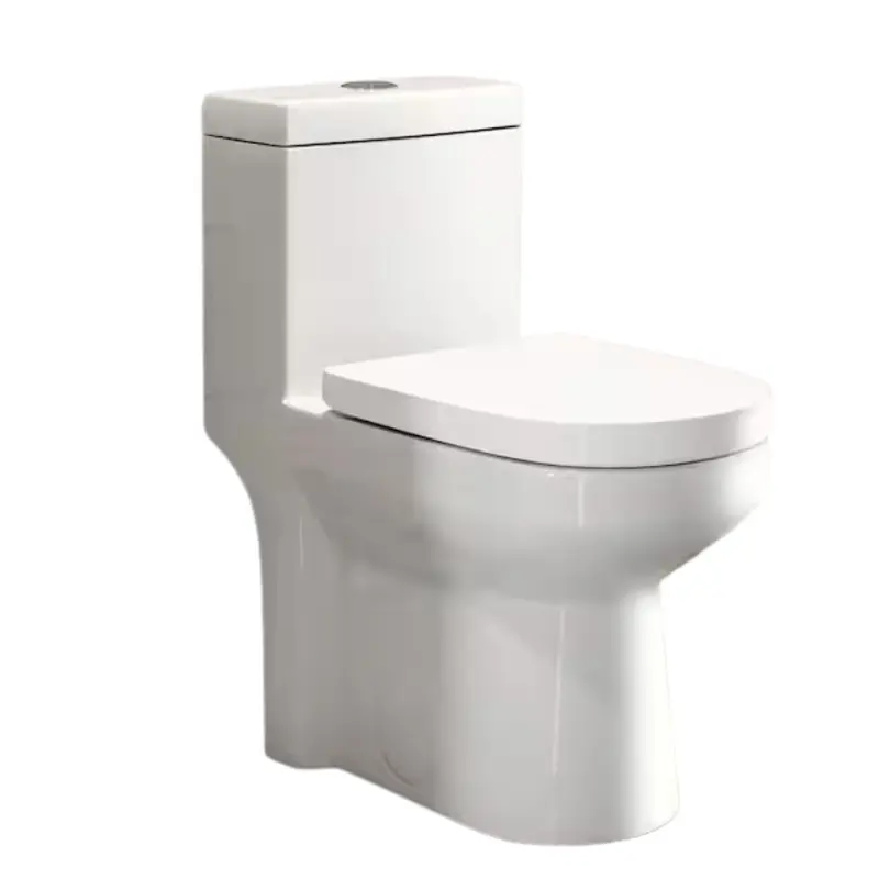 Hanikes One-Piece 1.1/1.6 Gpf Dual Flush Round Toilet 1