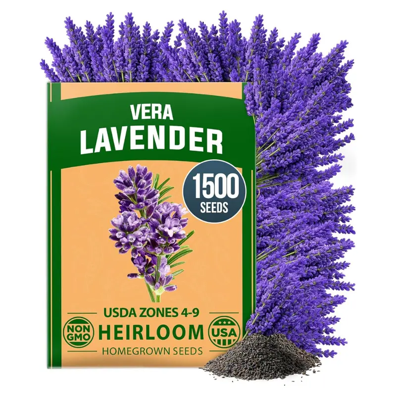 Home Grown Usa Premium 1,500+ English Lavender Seeds 1