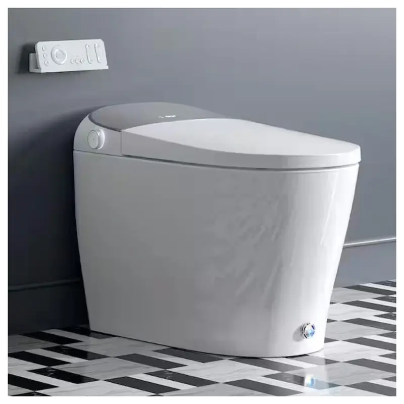 Horow Tankless Elongated Smart Toilet Bidet 1
