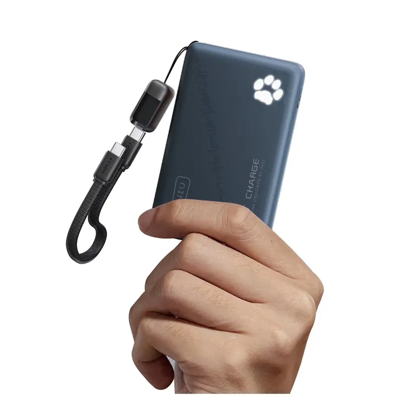 Iniu 10000Mah 45W Usb-C/A Pd Power Bank W/ Usb-C Lanyard Cable 1
