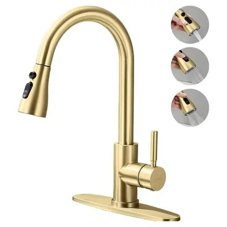 Kitchen Faucet With Pull Down Sprayer 1