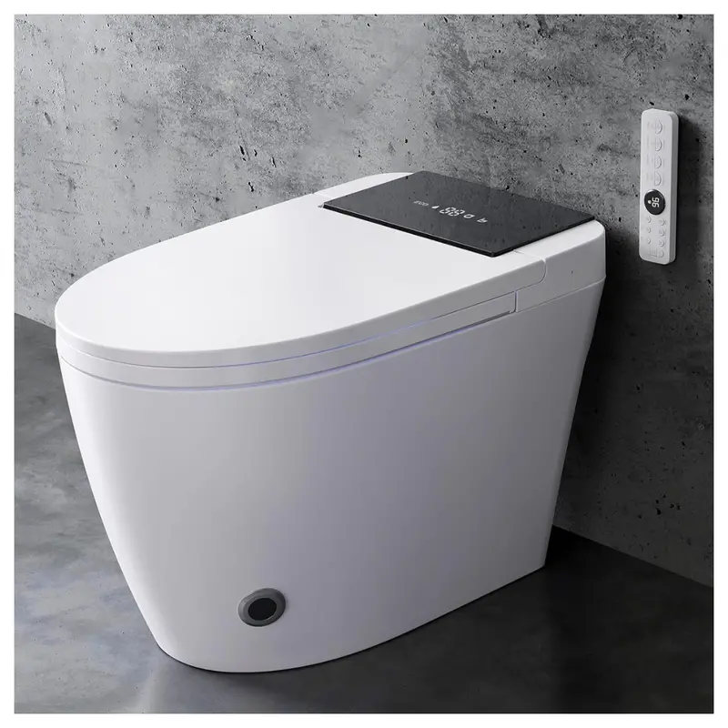 Loniko Heated Seat & Dual Auto Flush Bidet 1