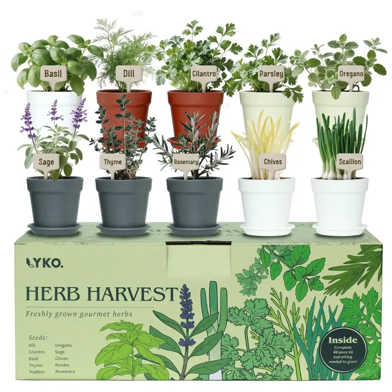 Lykoclean 10 Indoor Herb Garden Kit 1