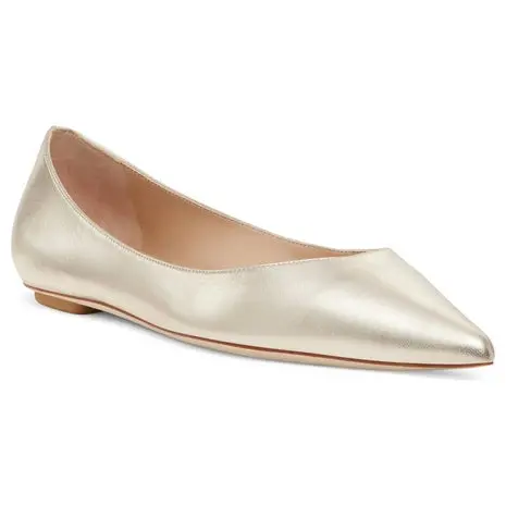 Pointed Toe Flat 1