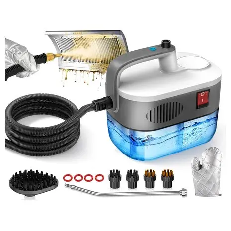 Portable Power Steam Cleaner 1