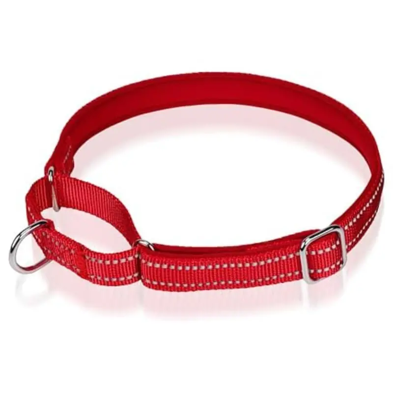 Reflective Martingale Dog Nobuckle Training Collar 1