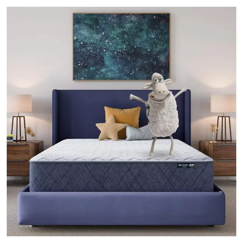 Serta 5 Star Mattress Sleep To Go Queen Firm 12" Mattress In A Box 1