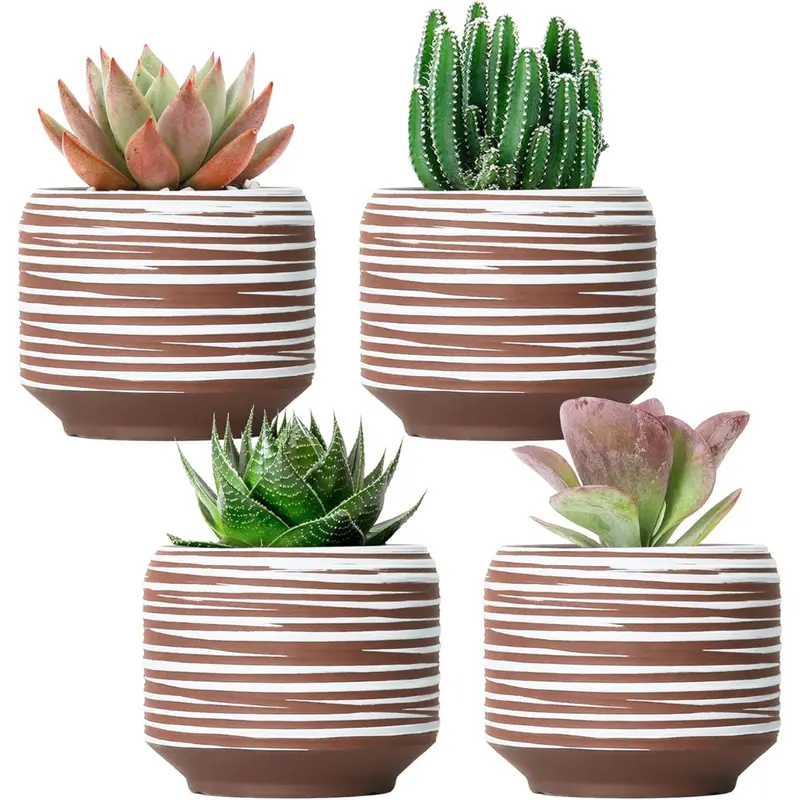 Set Of 4 Mini 3.7" Succulent Planter With Drainage 1