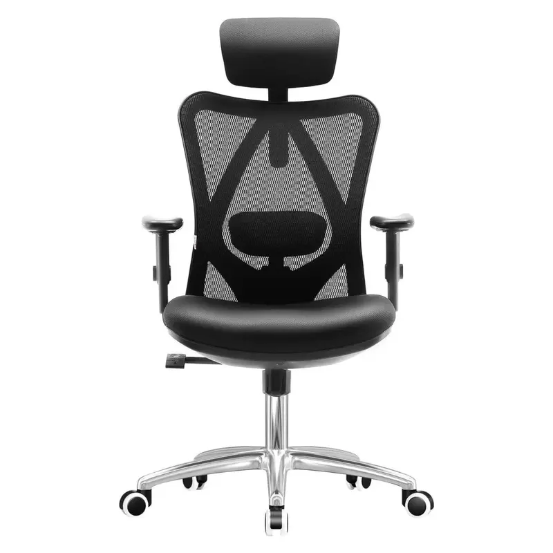 Sihoo High-Back Mesh Office Chair With Lumbar Support 1