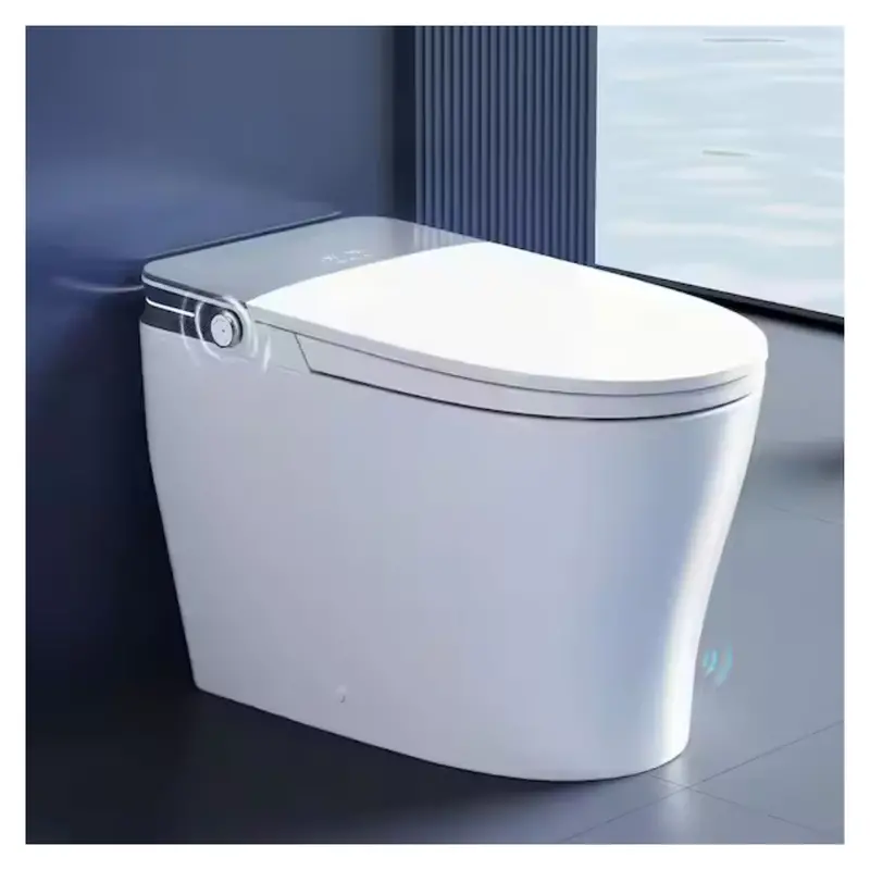 Tankless Elongated Ada 1.28 Gpf Smart Toilet Bidet 1