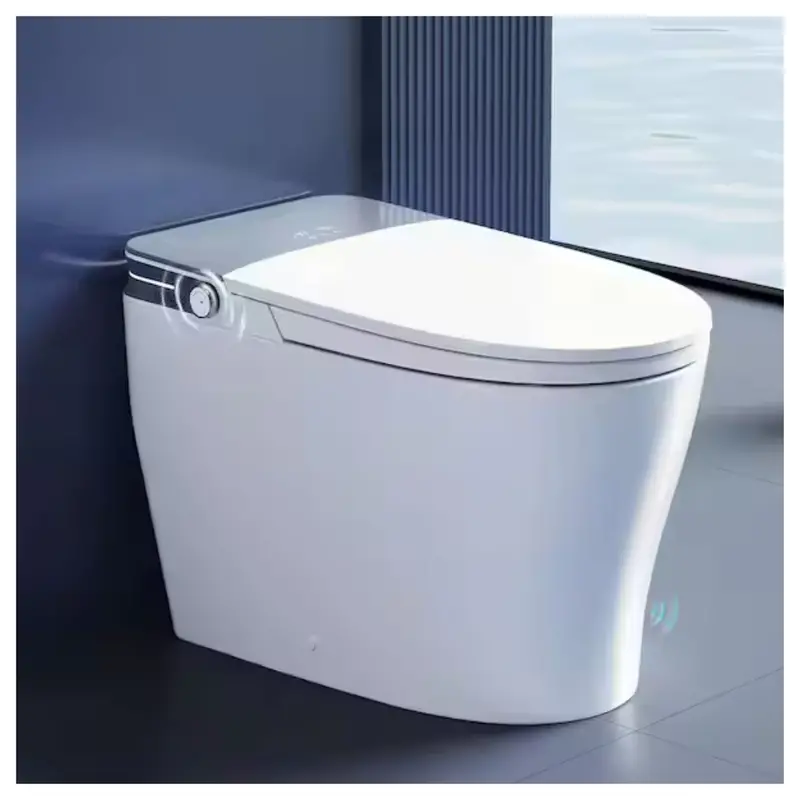 Tankless Elongated Ada 1.28 Gpf Smart Toilet Bidet 1