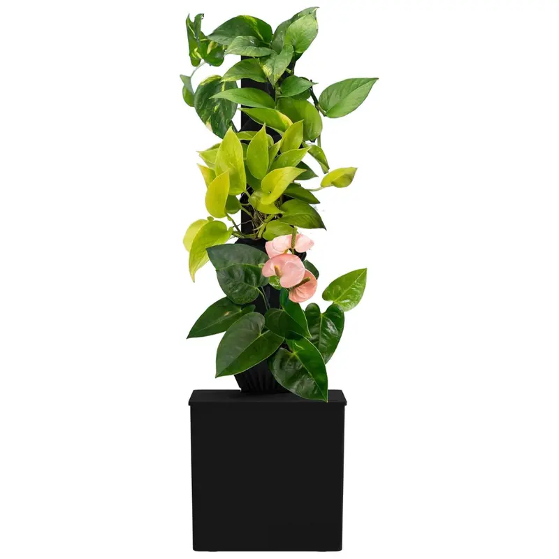 Tevatower Mini Smart Self-Watering Indoor Garden System 1